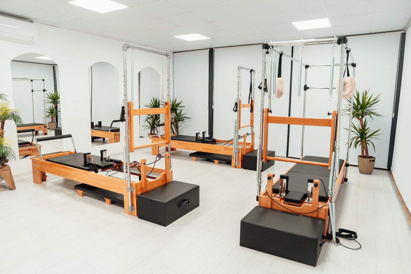 Moderno studio di pilates con macchine reformer in legno chiaro e piante verdi.